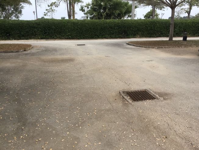 Before Parking 2