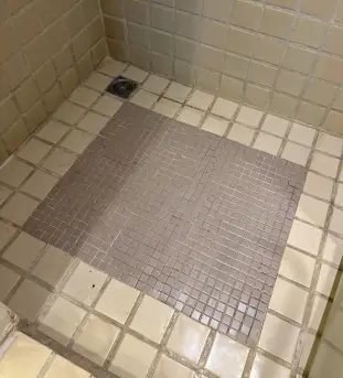 Before Bathroom